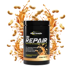 bioREPAIR