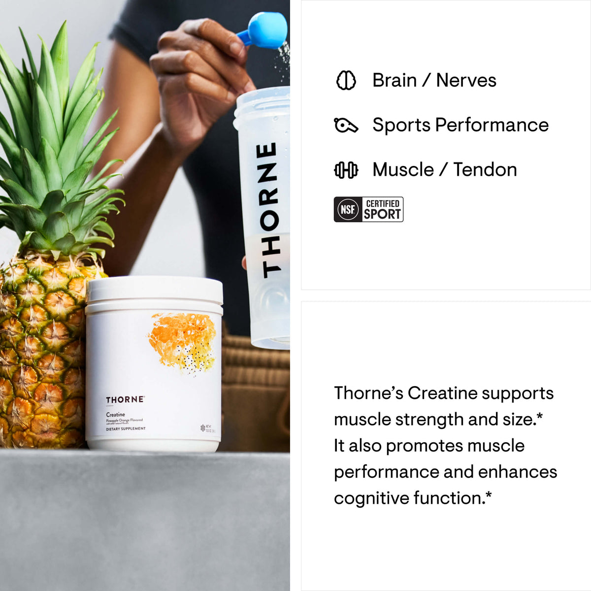 Thorne Creatine- Flavored