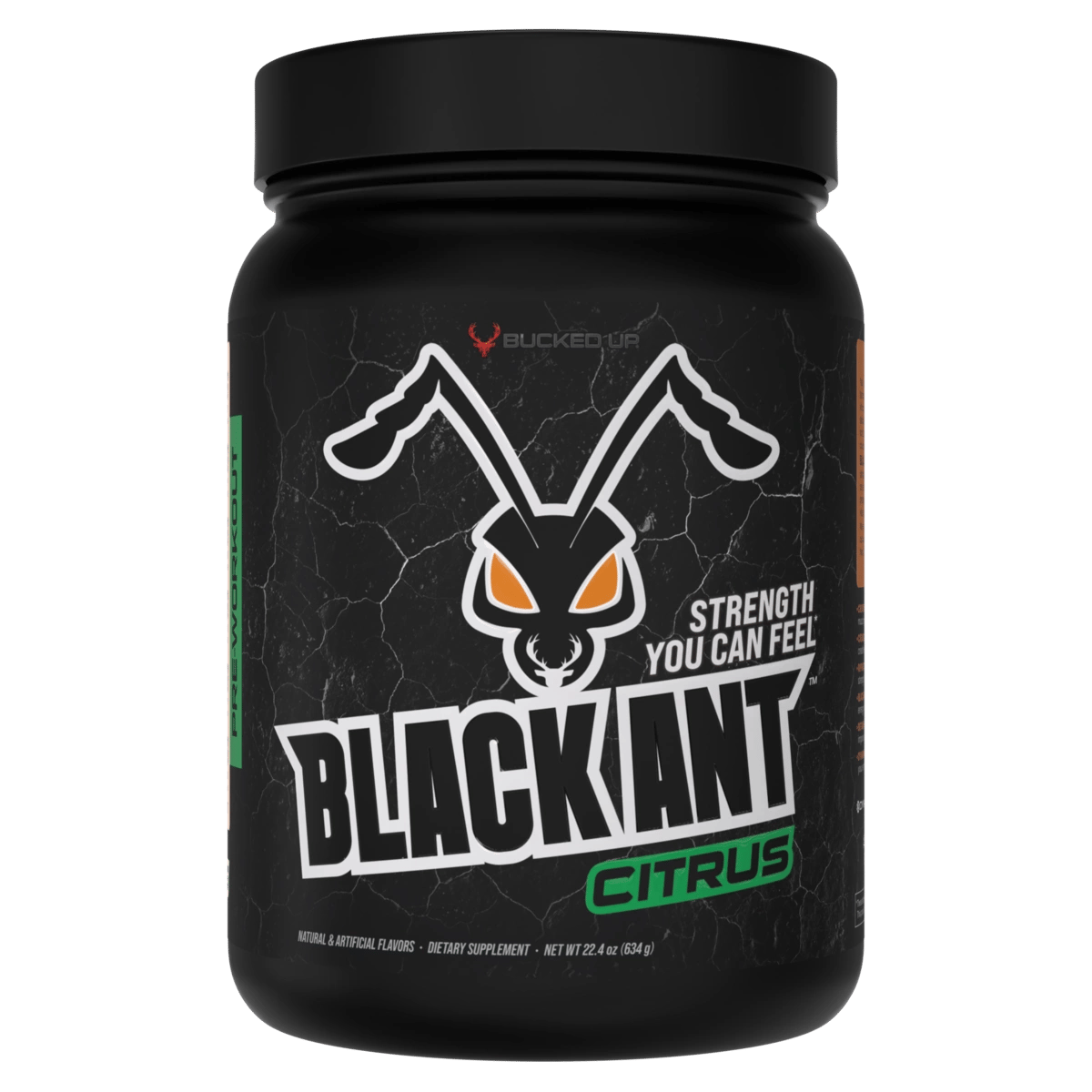 Black Ant