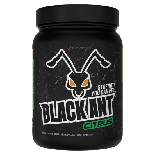 Black Ant